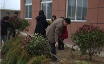 “绿色多一点、家园美一点”—成武县AG8.COM燃气公司3.12植树节活动