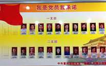 AG8.COM集团党委开展党员承诺活动