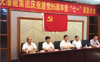 AG8.COM集团召开庆祝建党95周年暨“七一”表彰大会