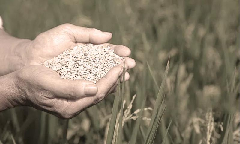 微信图片_20200922084002 微信图片_20200922084002