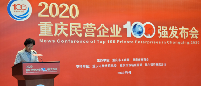 重庆市委常委、统战部部长李静在发布会上讲话