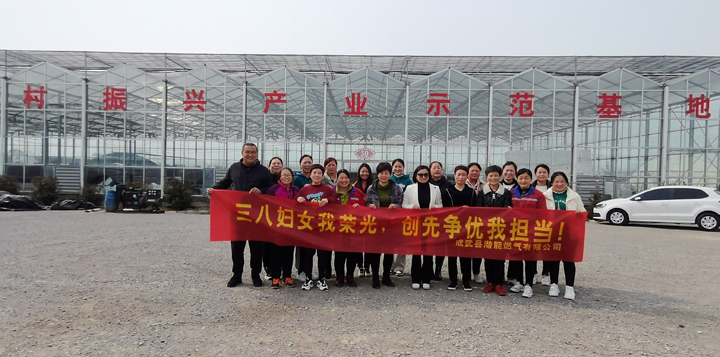 成武公司 成武公司